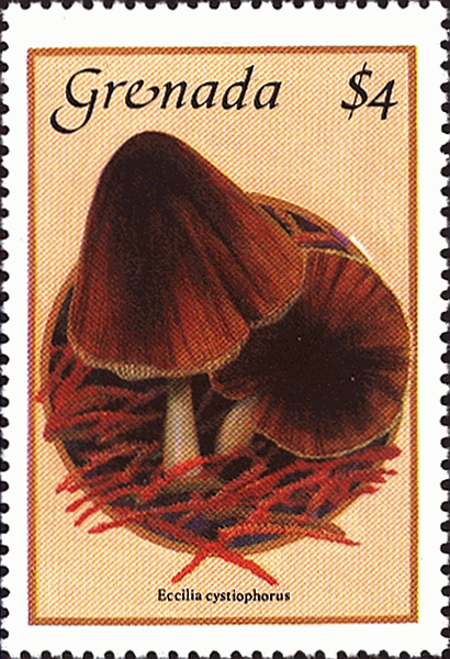 Briefmarke