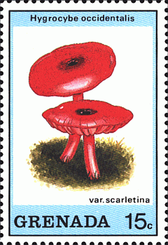 Briefmarke