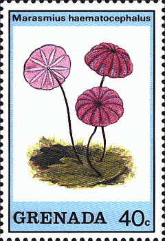 Briefmarke