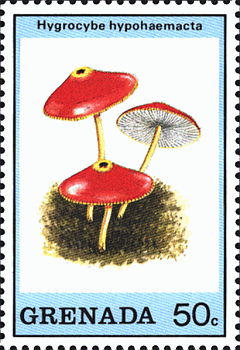 Briefmarke