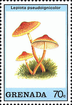 Briefmarke
