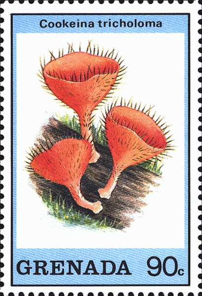 Briefmarke
