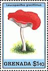 Briefmarke