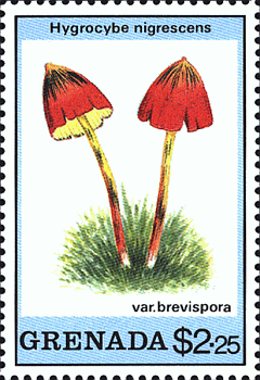 Briefmarke
