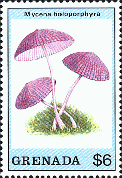 Briefmarke