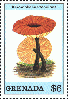 Briefmarke