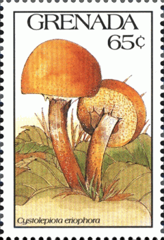 Briefmarke