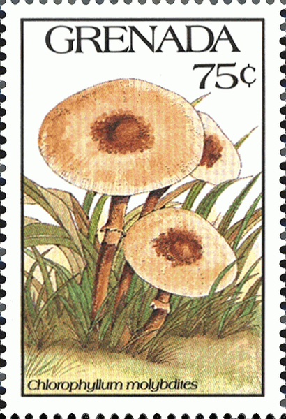 Briefmarke