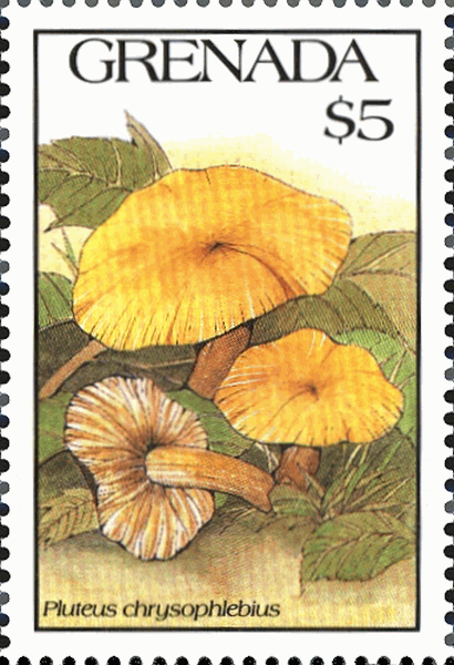 Briefmarke