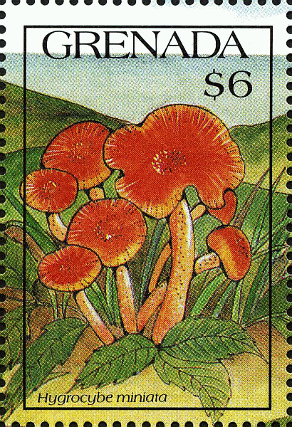 Briefmarke