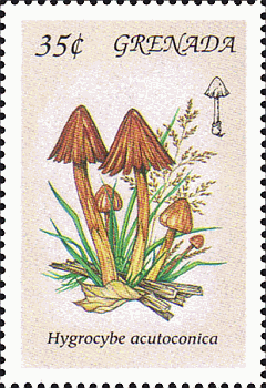 Briefmarke
