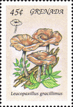 Briefmarke