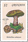 Briefmarke