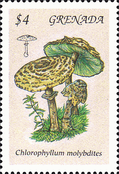 Briefmarke