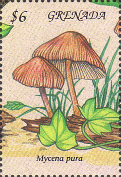 Briefmarke