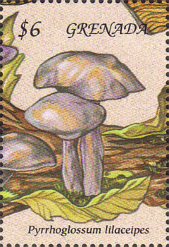 Briefmarke
