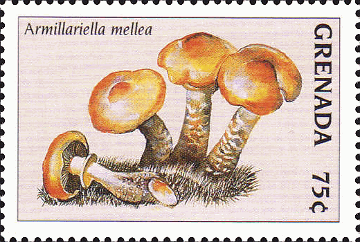 Briefmarke