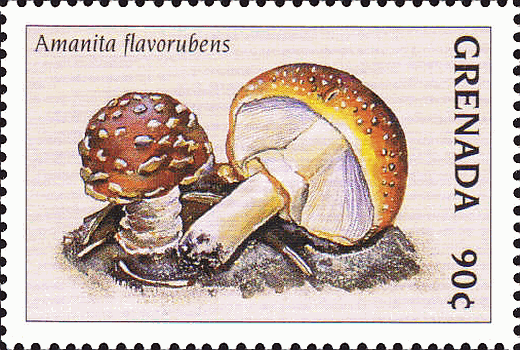 Briefmarke