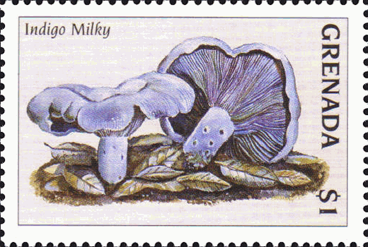 Briefmarke