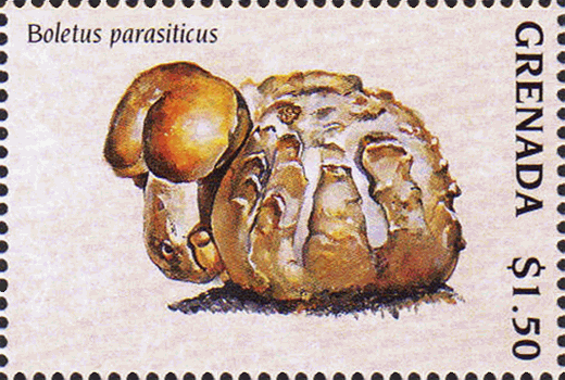 Briefmarke