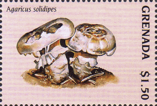 Briefmarke