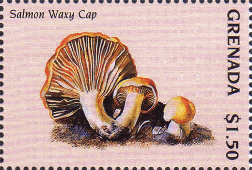 Briefmarke