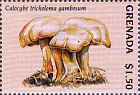 Briefmarke