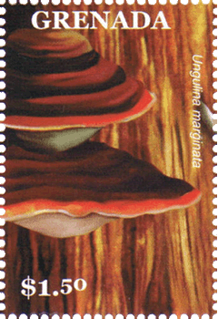 Briefmarke