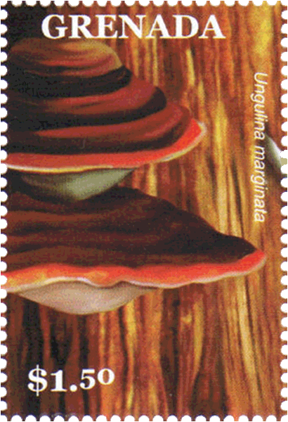Briefmarke