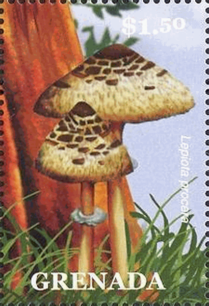 Briefmarke
