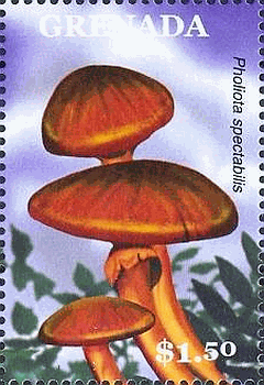 Briefmarke