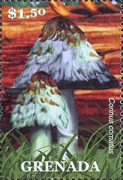 Briefmarke