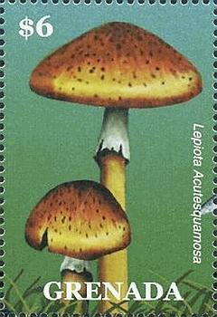 Briefmarke