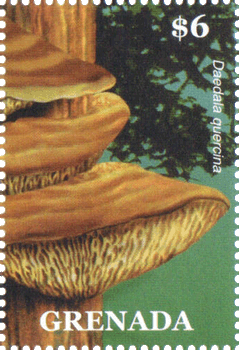 Briefmarke