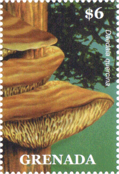 Briefmarke