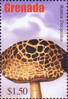 Briefmarke