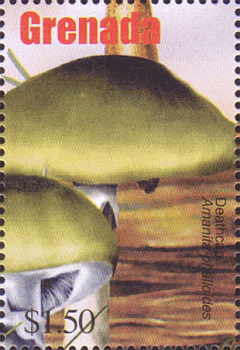 Briefmarke
