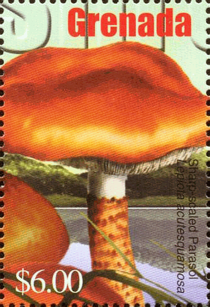 Briefmarke
