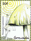 Briefmarke