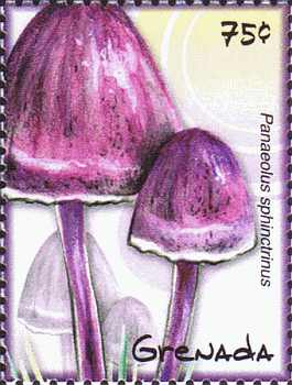 Briefmarke