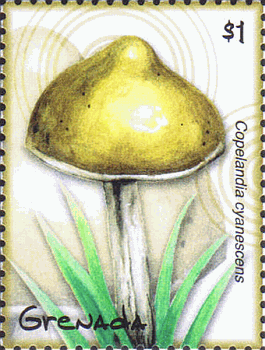 Briefmarke