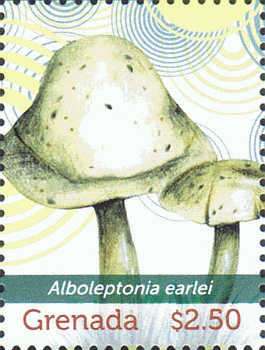 Briefmarke