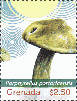 Briefmarke