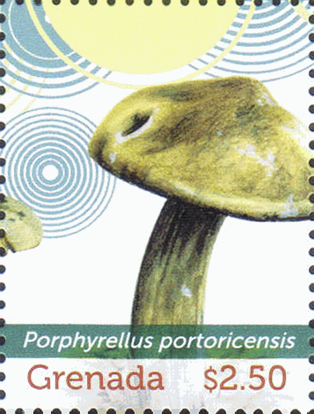 Briefmarke