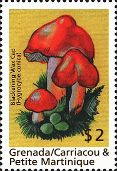 Briefmarke