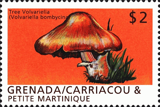 Briefmarke