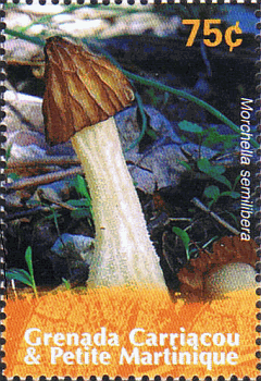 Briefmarke