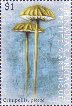Briefmarke