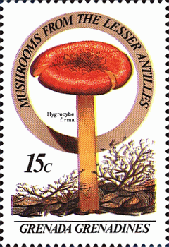 Briefmarke