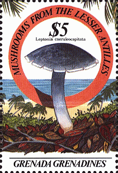 Briefmarke